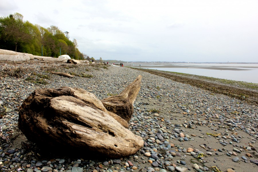 Driftwood and stones on the beach in White Rock, British Columbia, Canada via ZaagiTravel.com