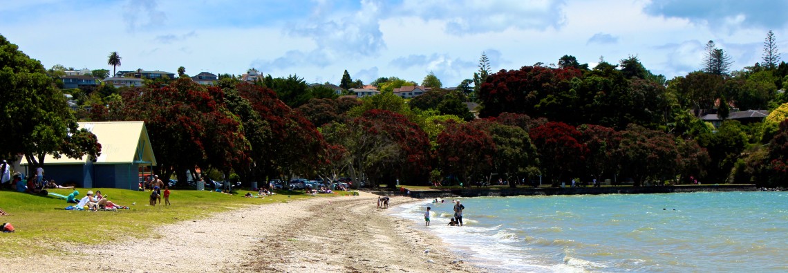 Cockle Bay Beach in New Zealand via ZaagiTravel.com