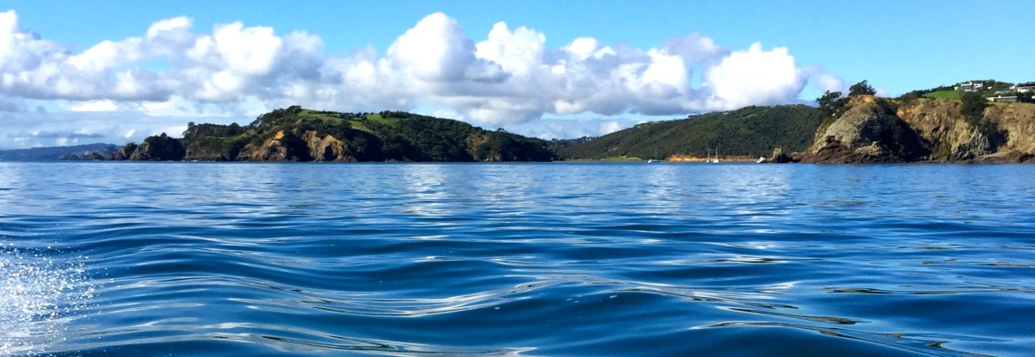 A-Z Challenge: Pulling up poissons in the Hauraki Gulf